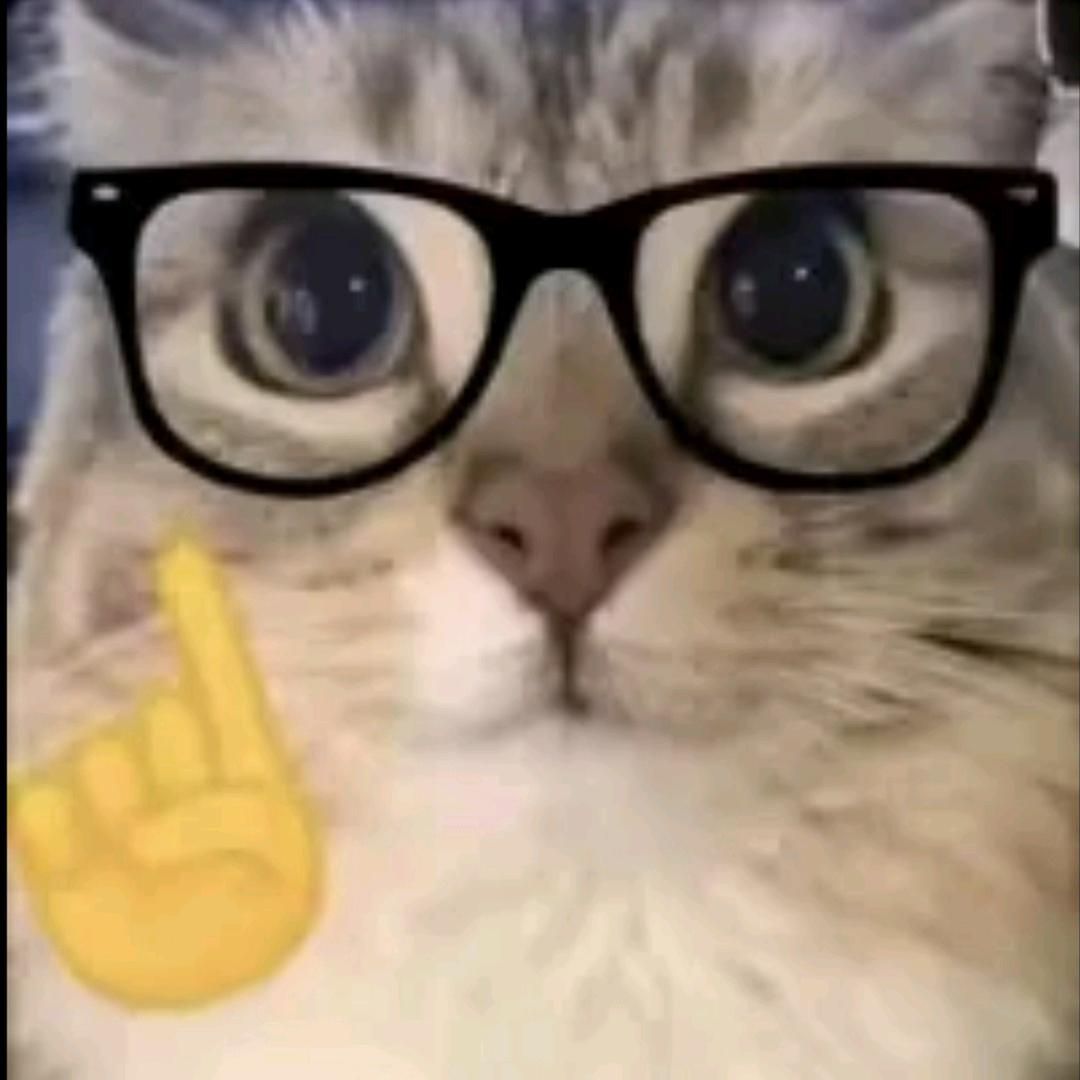 封朝夕（三角洲行动）