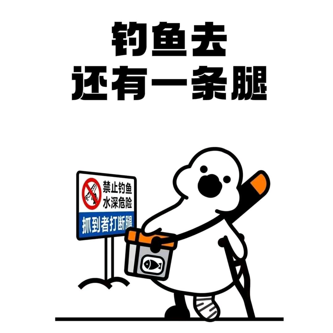 鱼生难料头像