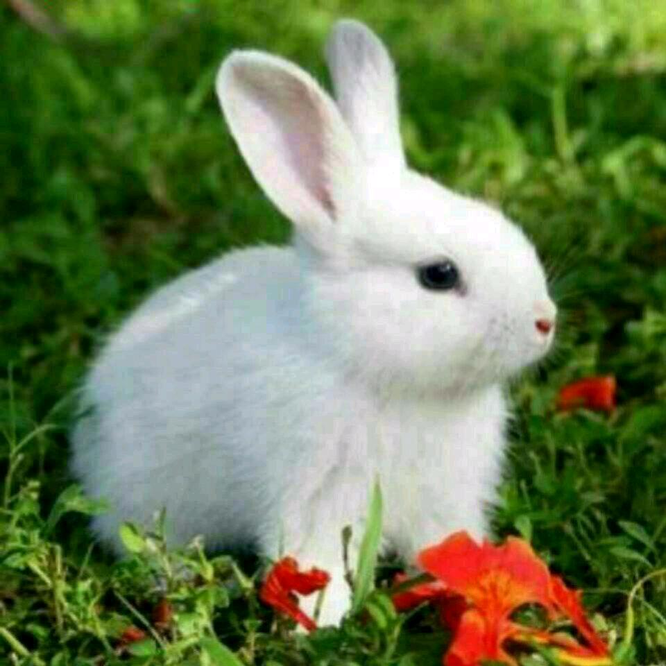 @🥀᭄ꦿ꯭往事ঞৣঁ 归零ঞৣঁꦿ᭄