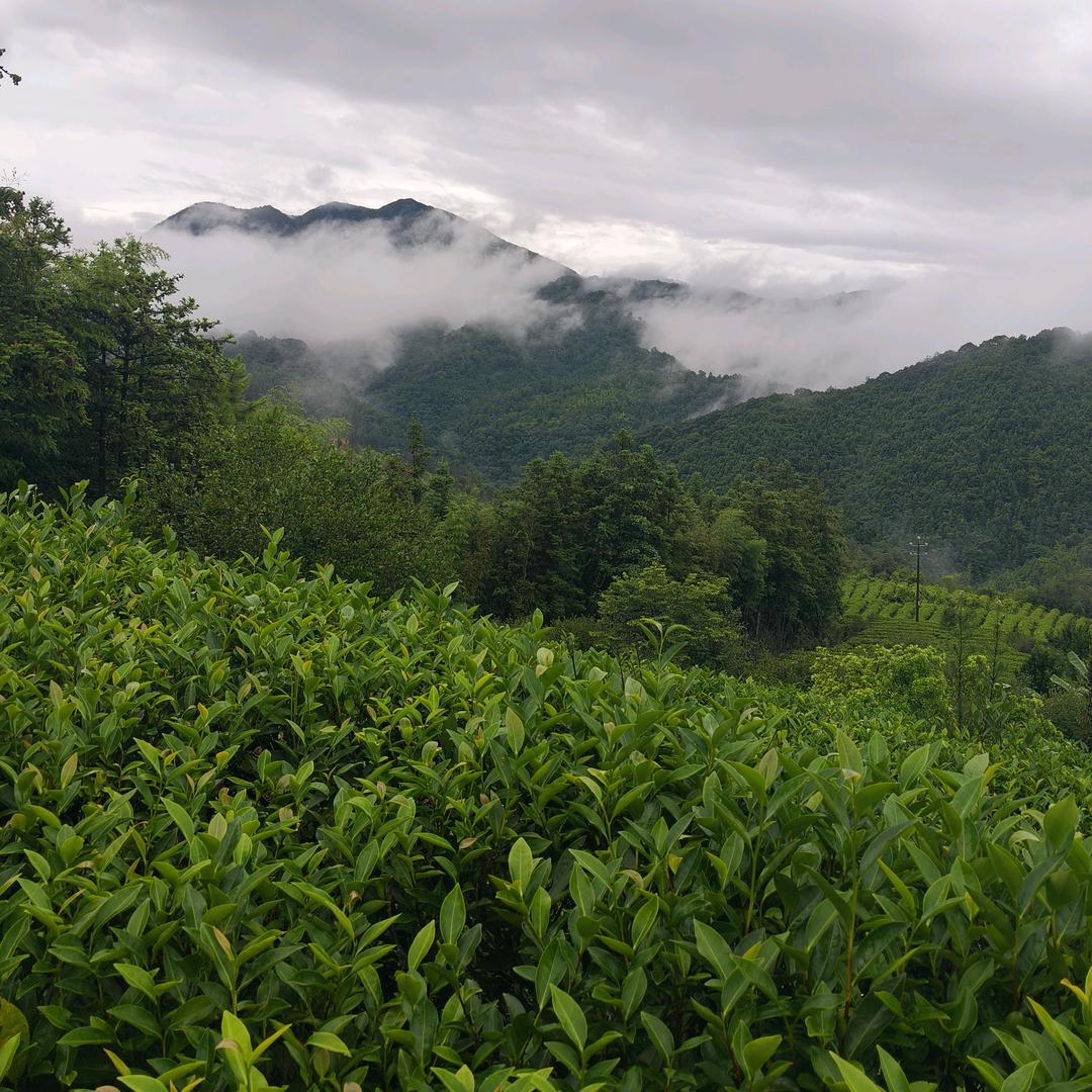 2025☀️青潭农场