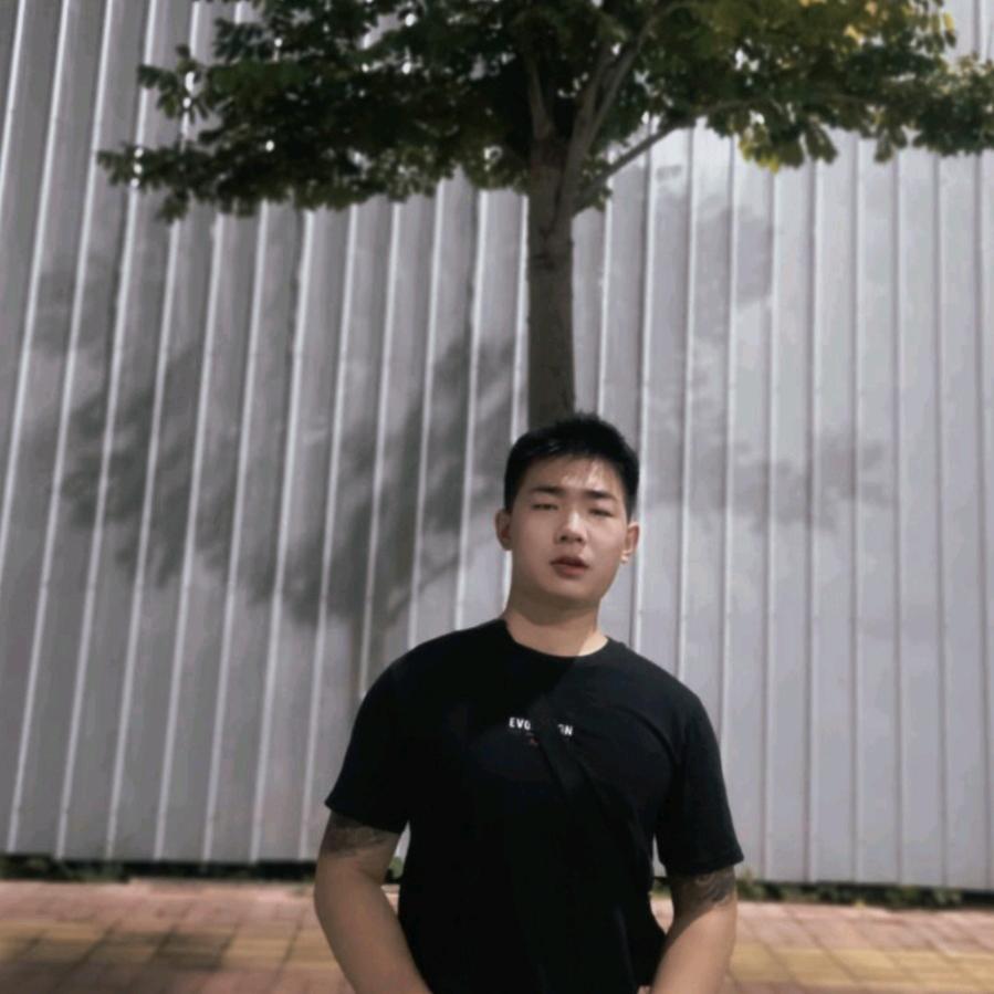 琪龙