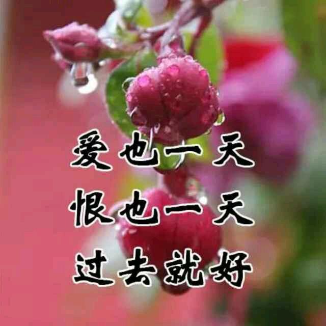 农村四哥