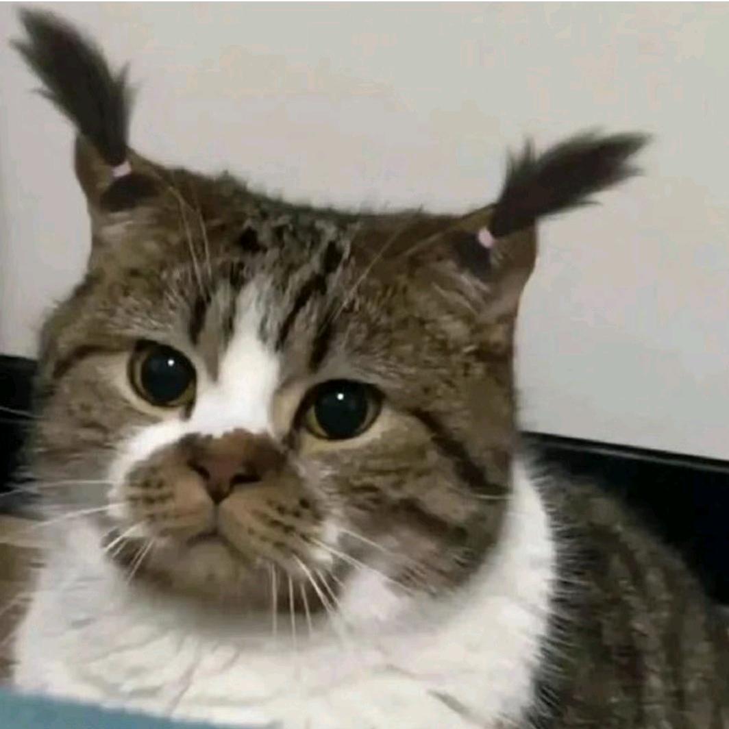 怿言