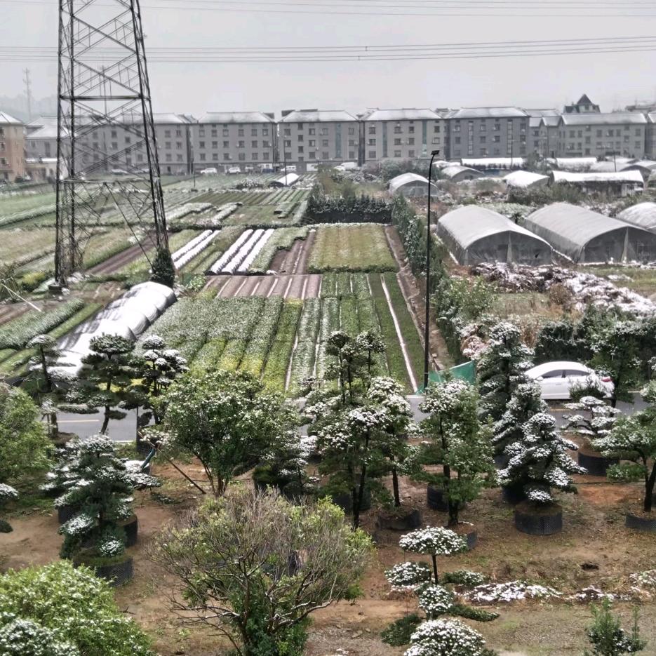 《单身，94的，高178，体重140》