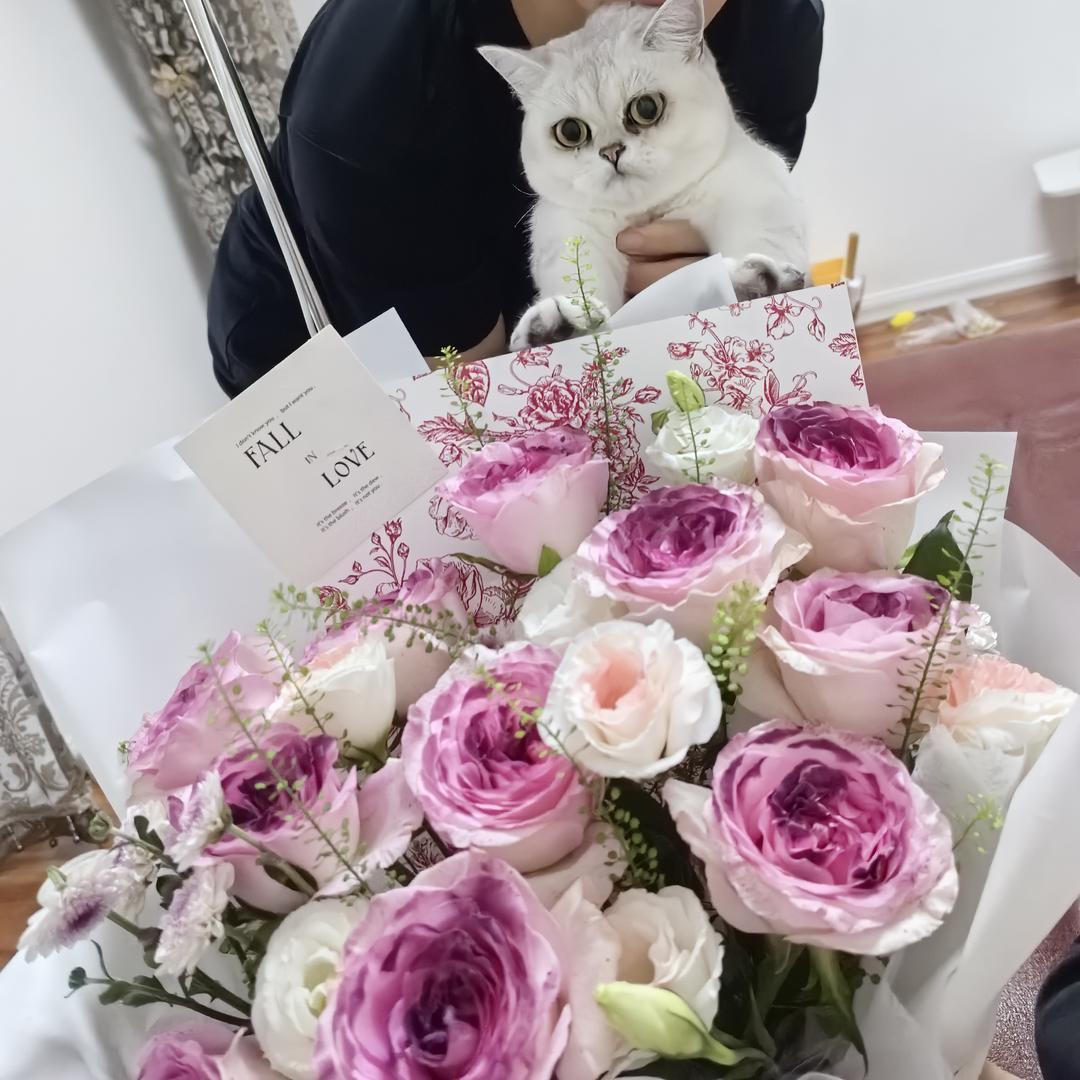 没意思