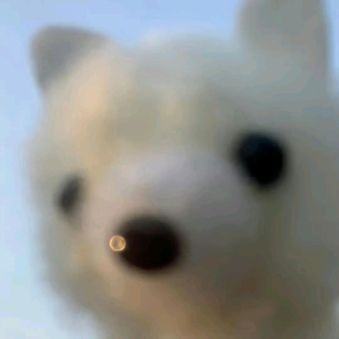 西华师范大学小星星