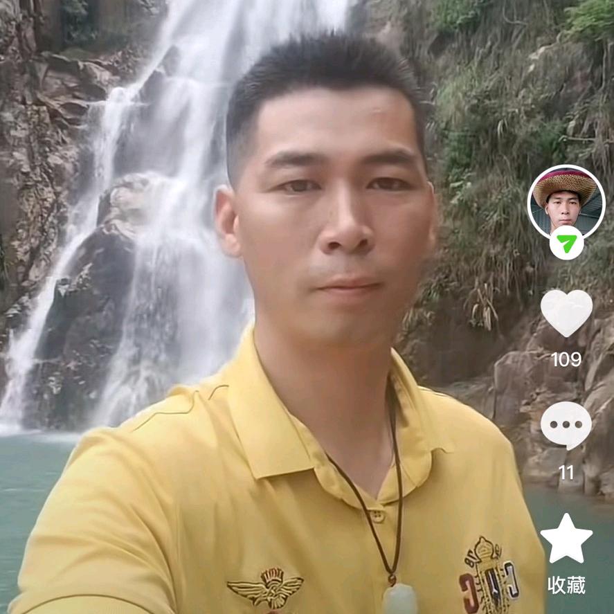 林氏家族