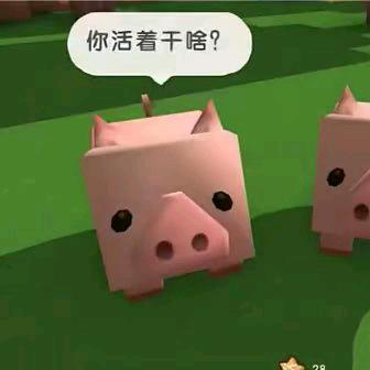 Dw.良