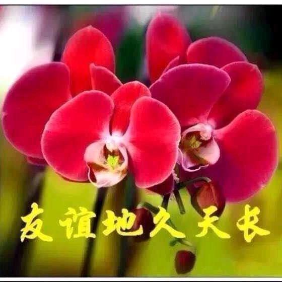 @菜芽奶奶🍀🌟💗