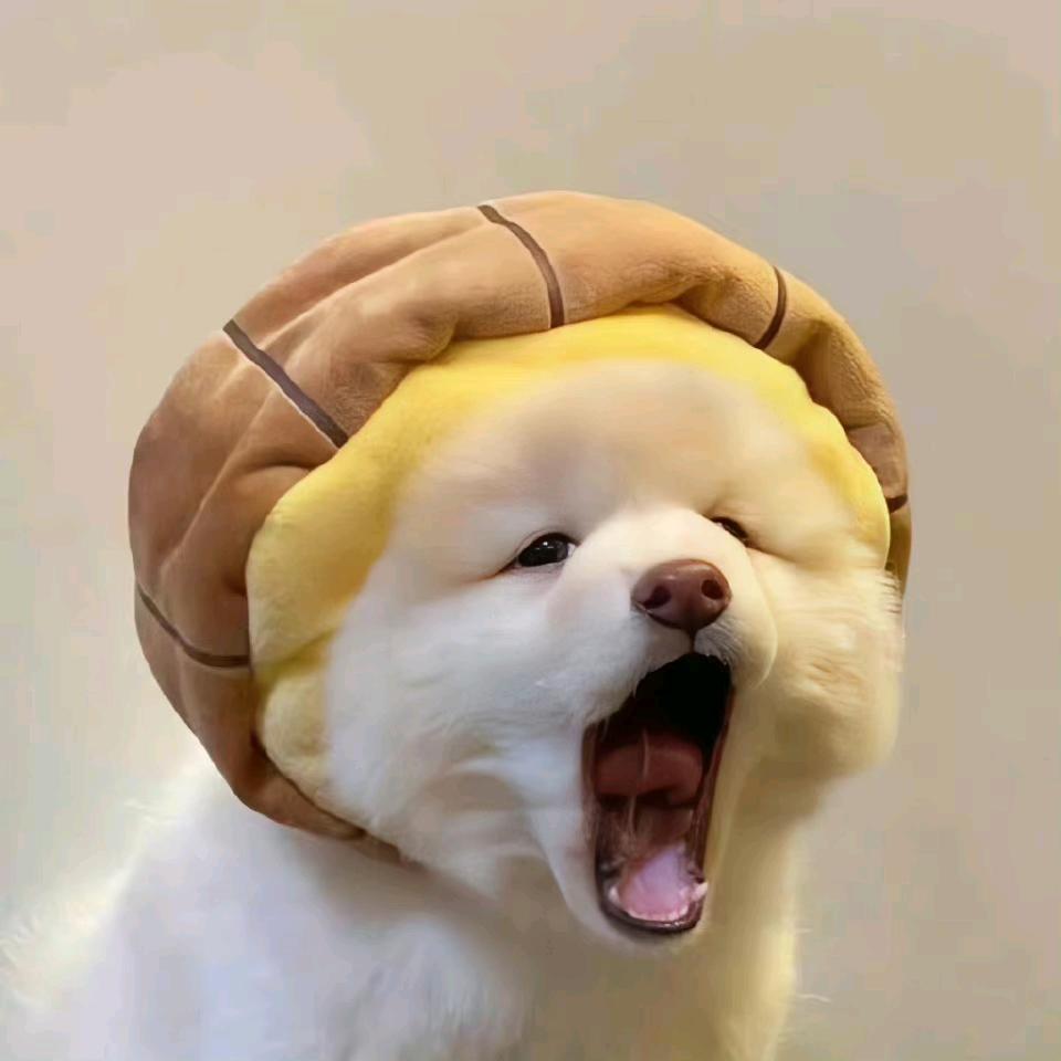 苏苏墨