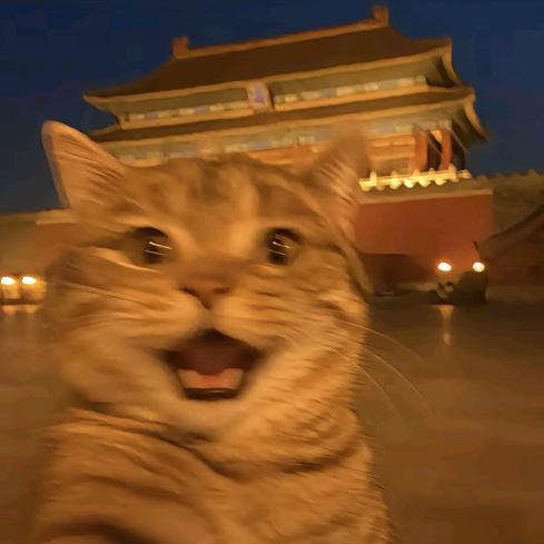 趙先森🫧