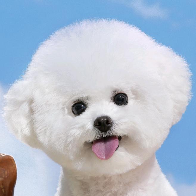 小叮当的奶爸
