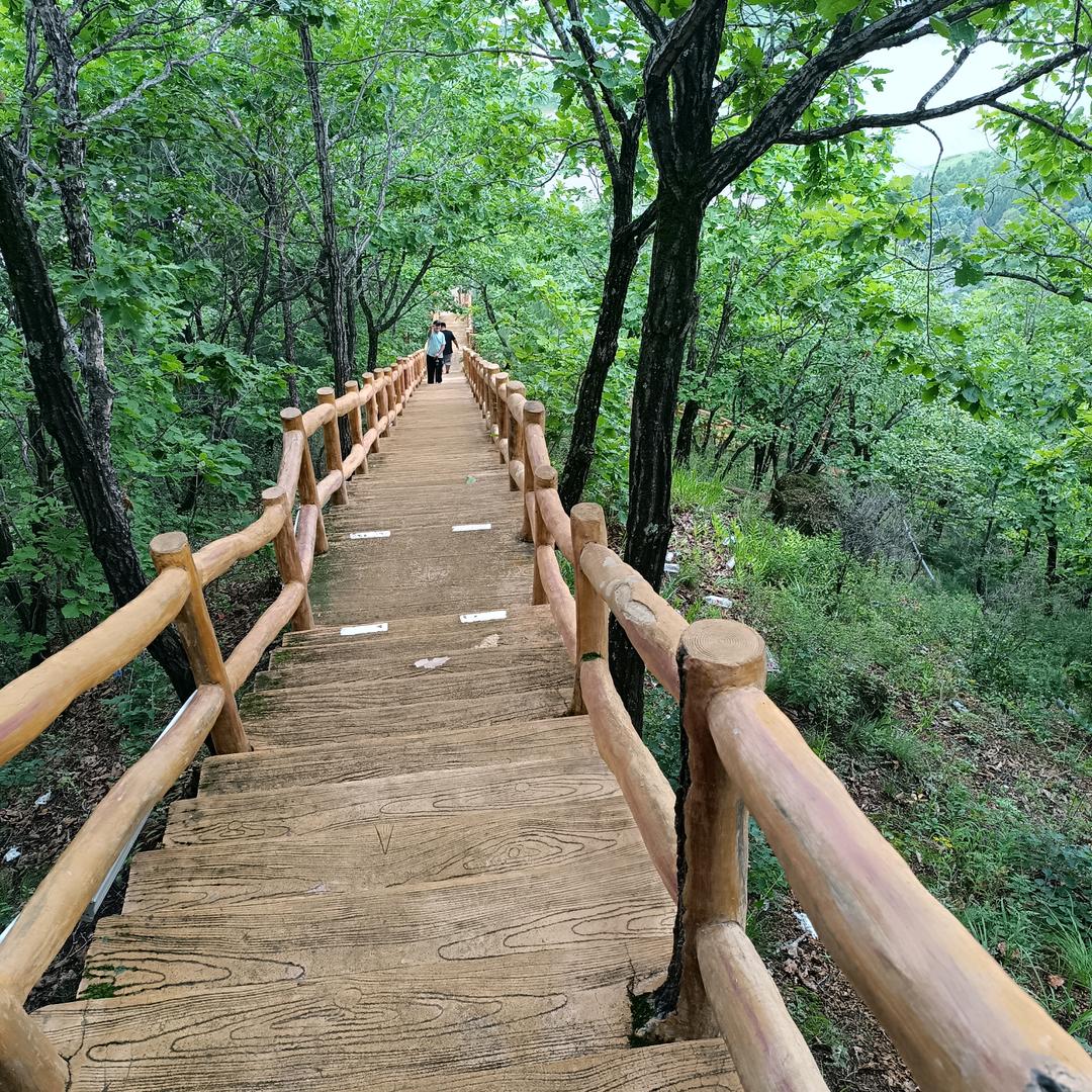 🌻莉莉呀🌹🌹🌹