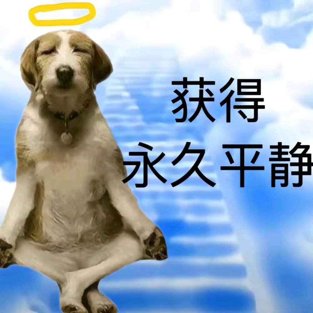 佩恩🧟‍♂️