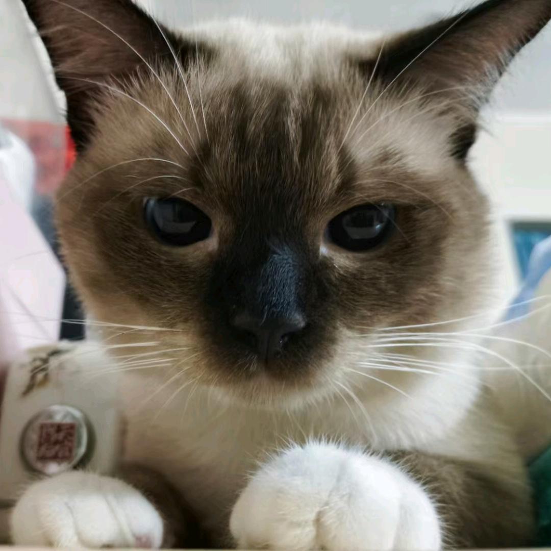 潇忆
