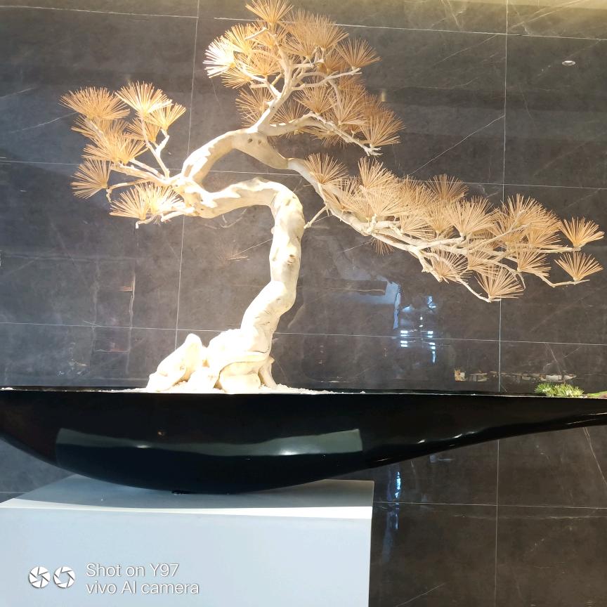 时光（批发零售白丸子，…