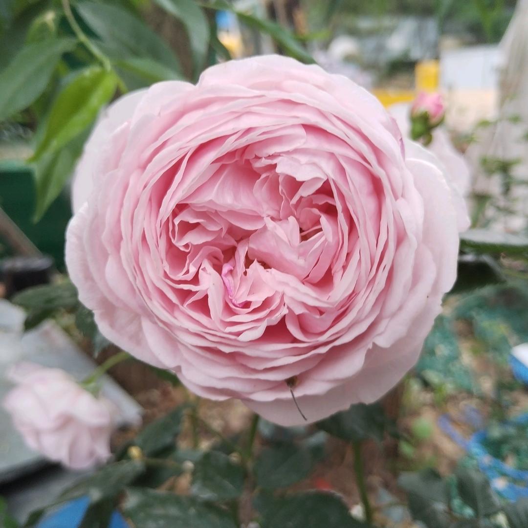 新起点