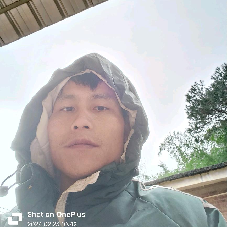 凌九