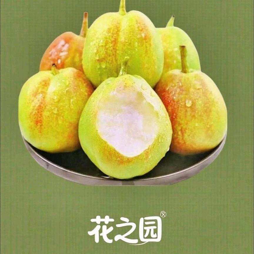 花之园农产品（助农）