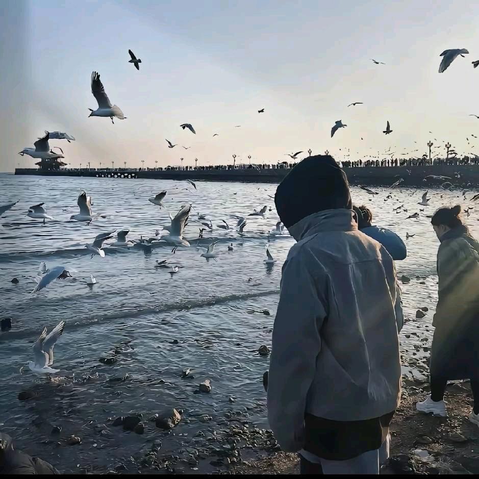 🍃七十二时🍂