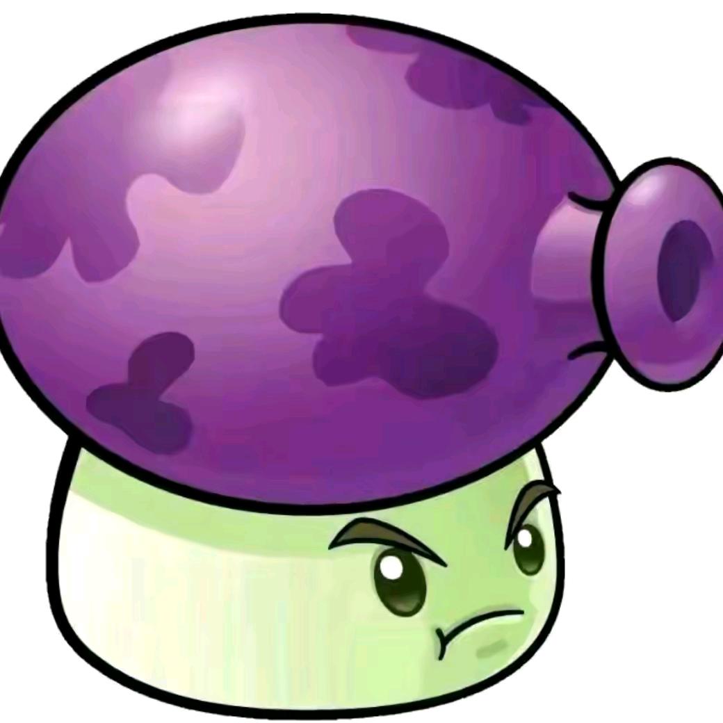 🟣🟣🟣