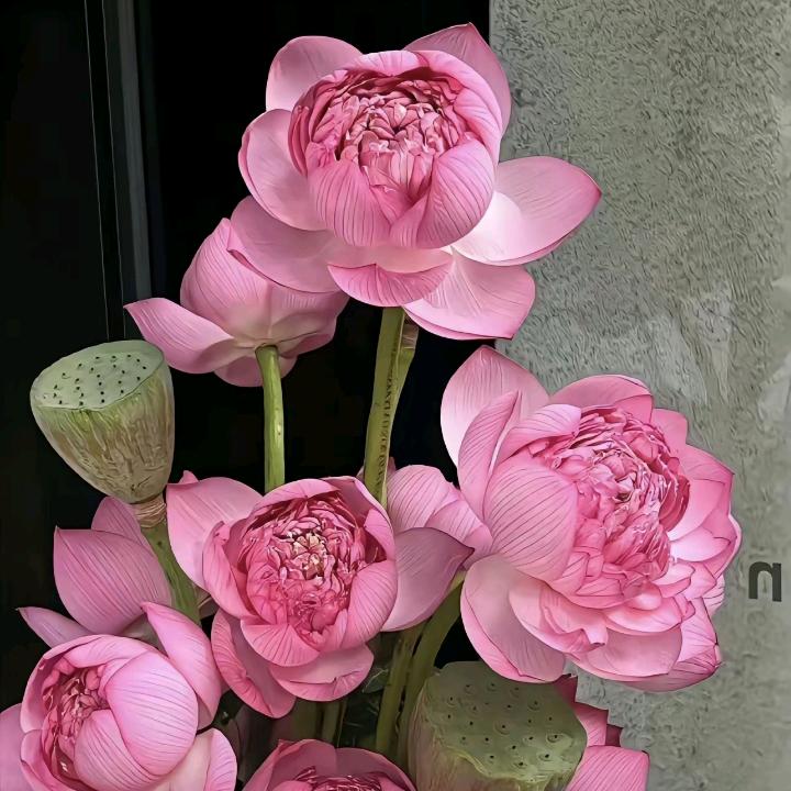 一根红线