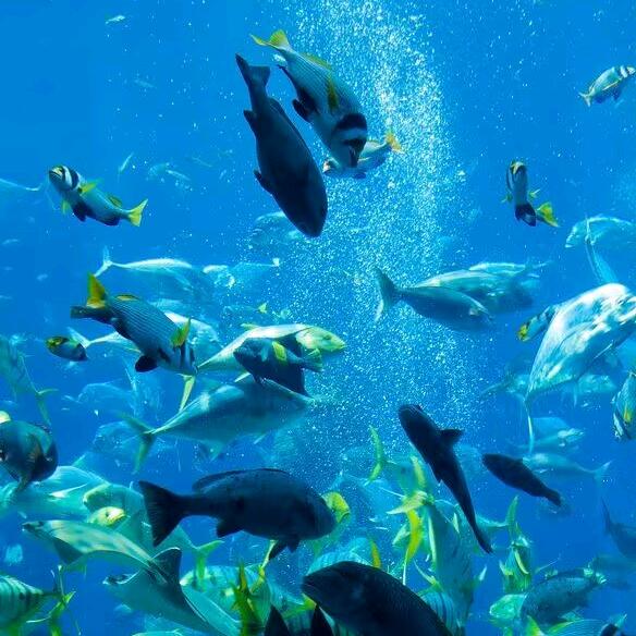 🐲🐲🐲🐲🐉🐉🐉🐉🐉?