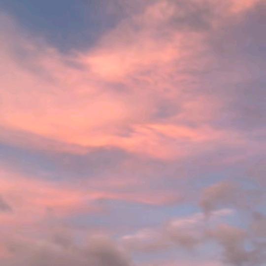 《终是庄周梦了蝶》