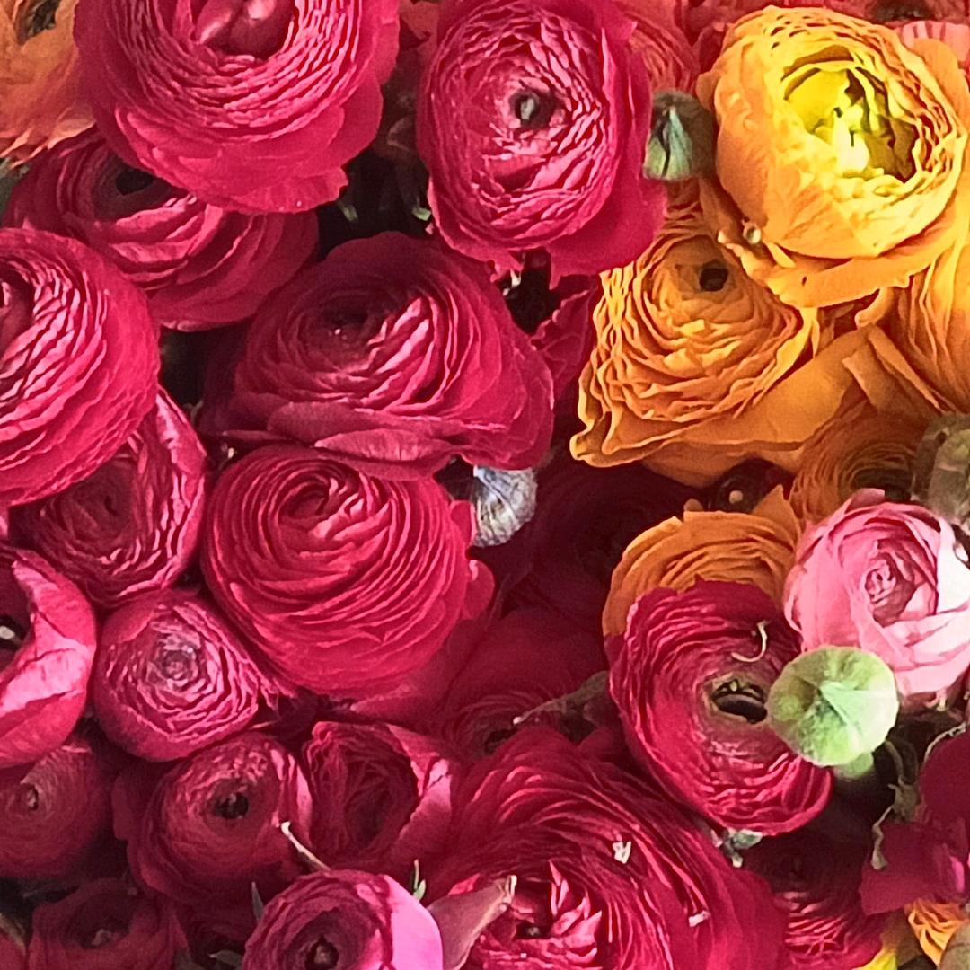 路奔跑的单身狗