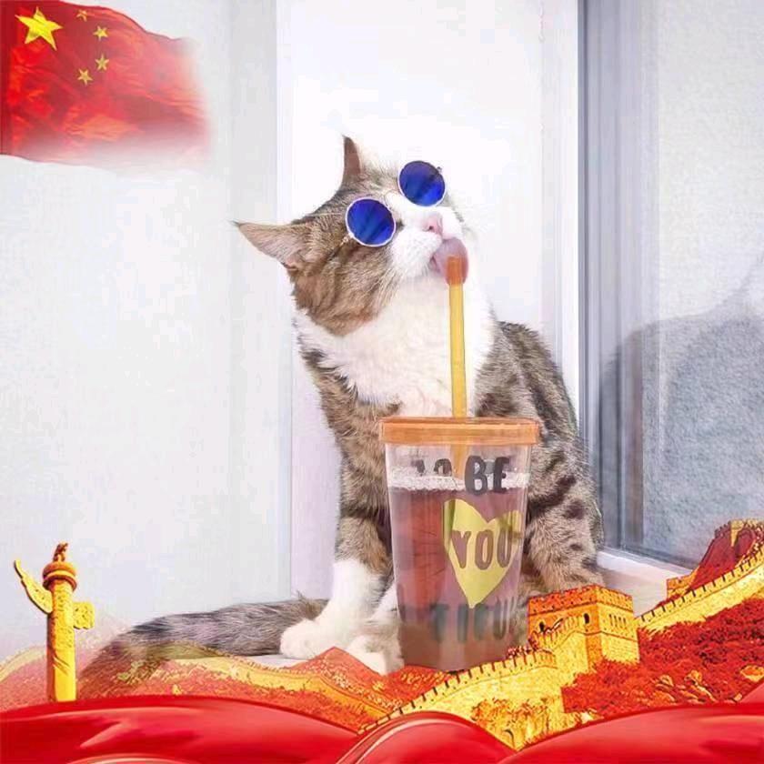 唯好运迩