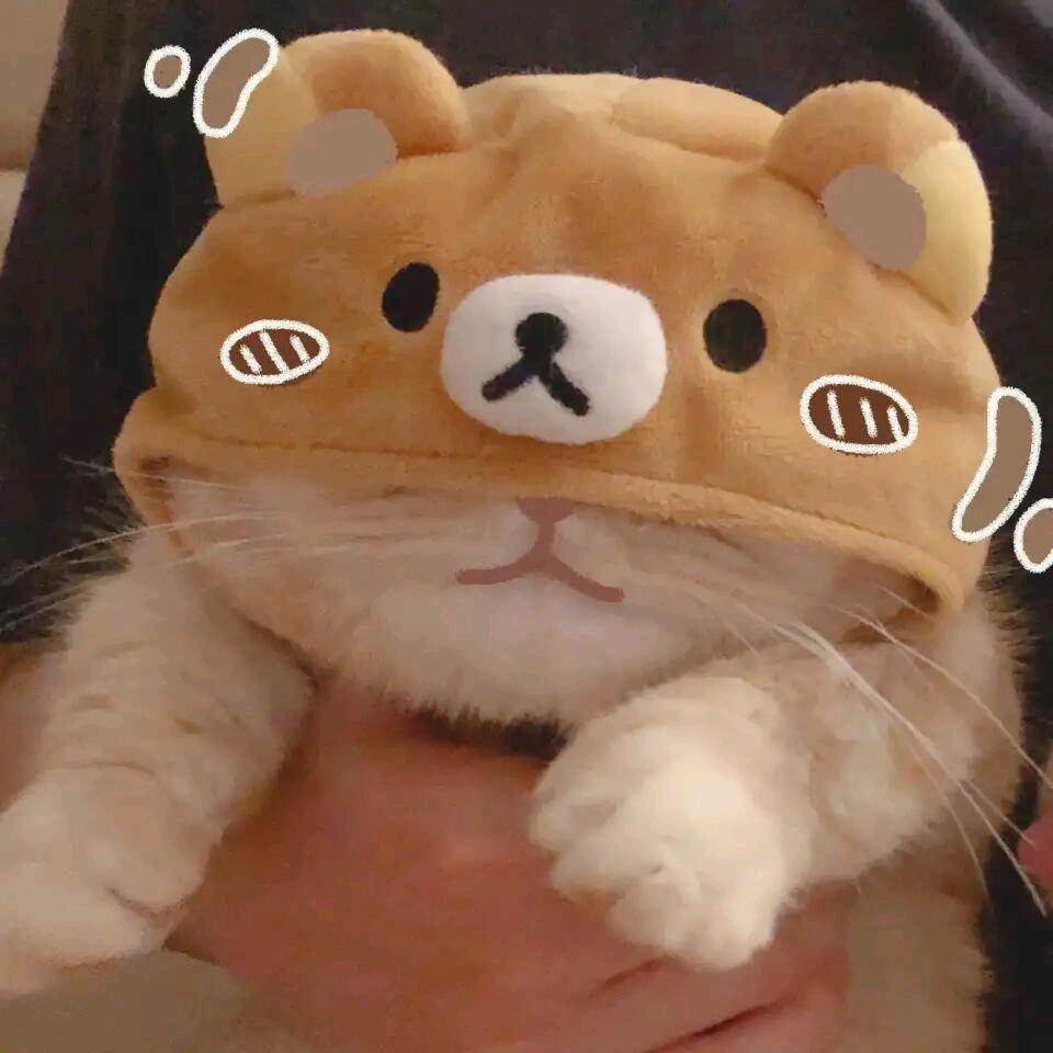 e不是小薛
