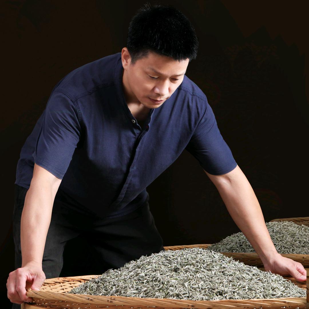 富云茶业