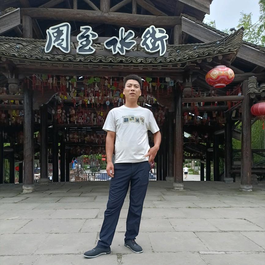 专业伐树，园林绿化，收树，收购下房木料