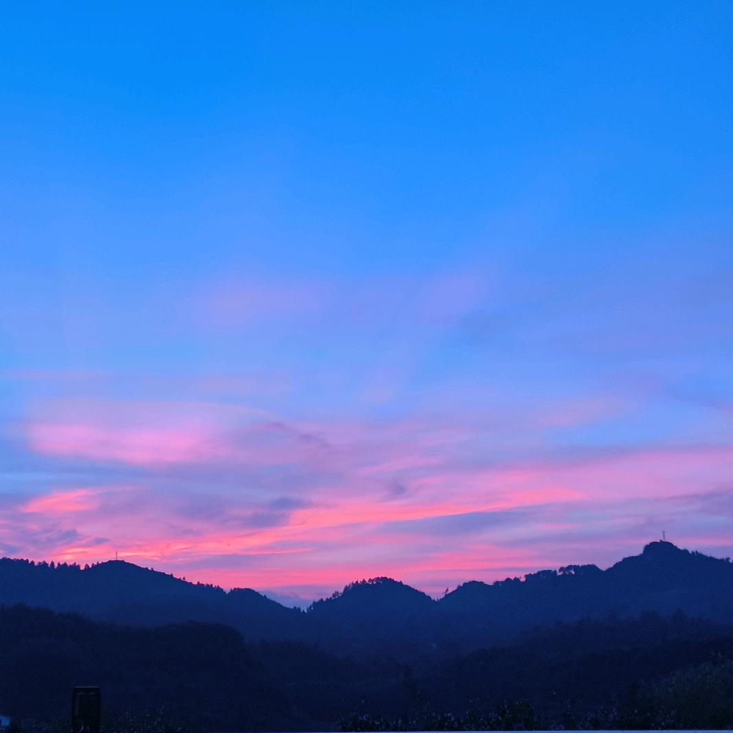 梅子绘