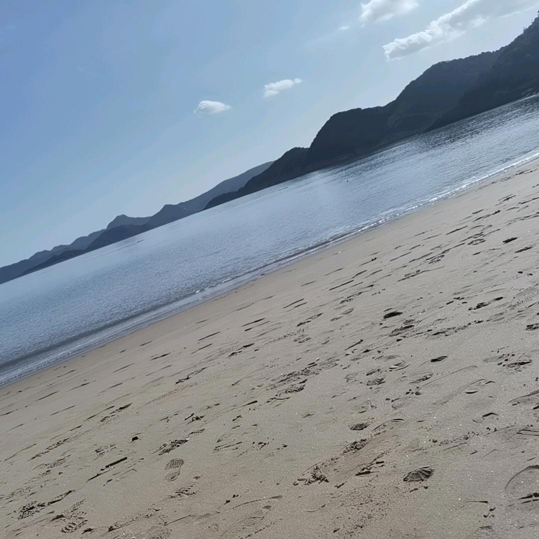 真心的未来会幸福吗？