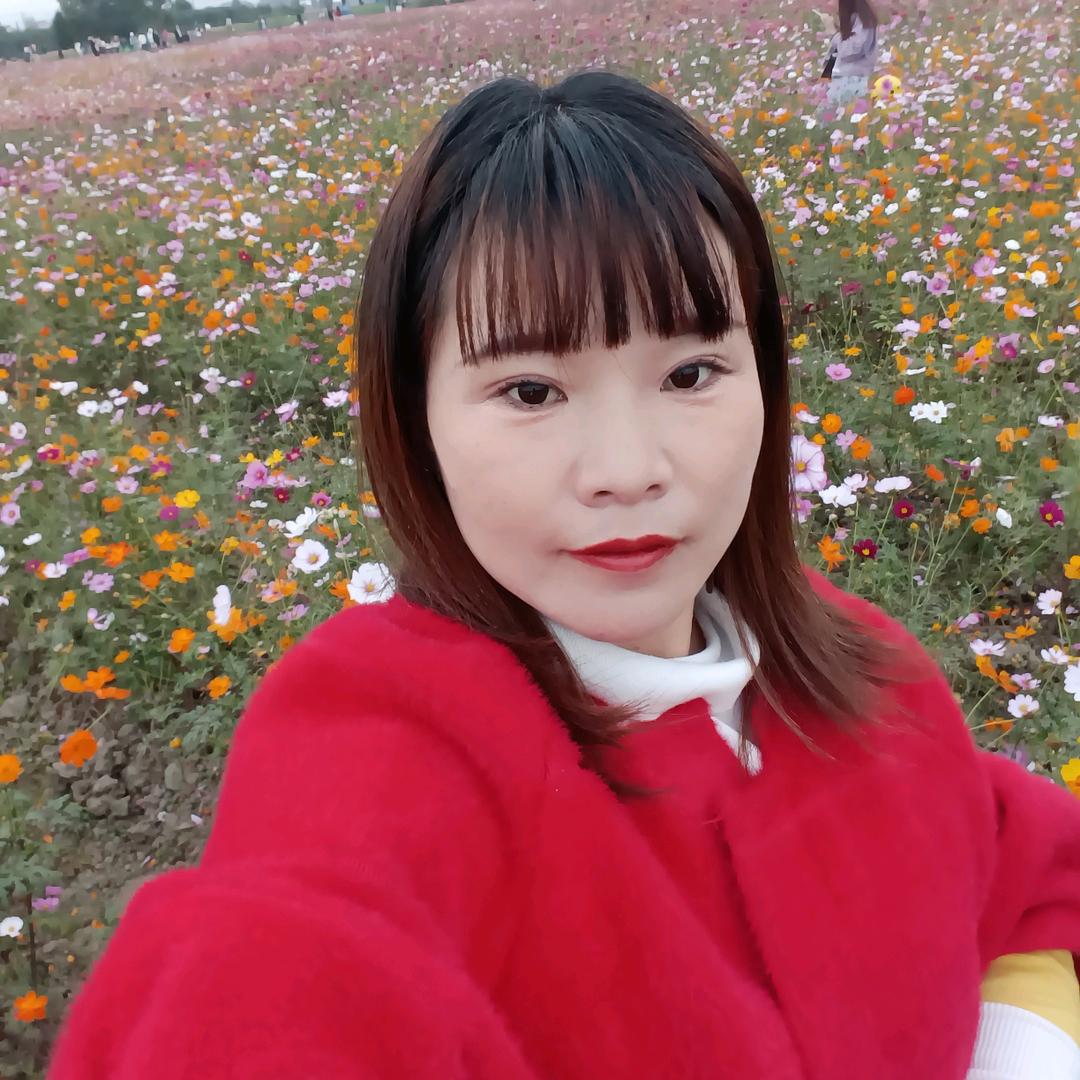 晥K👉👉阜阳。刘家二小姐
