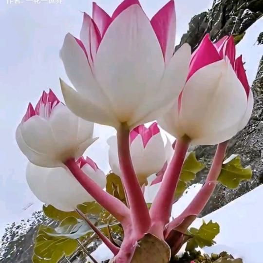 家合万事心
