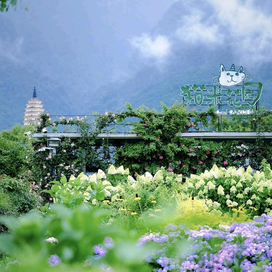 田甜圈