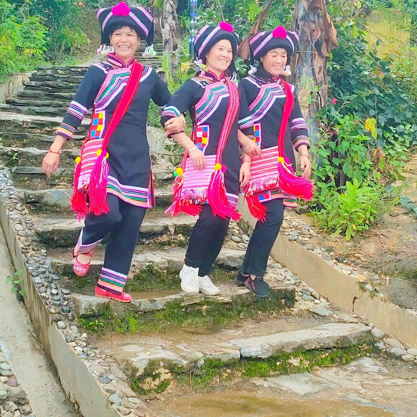 龙乾妹子