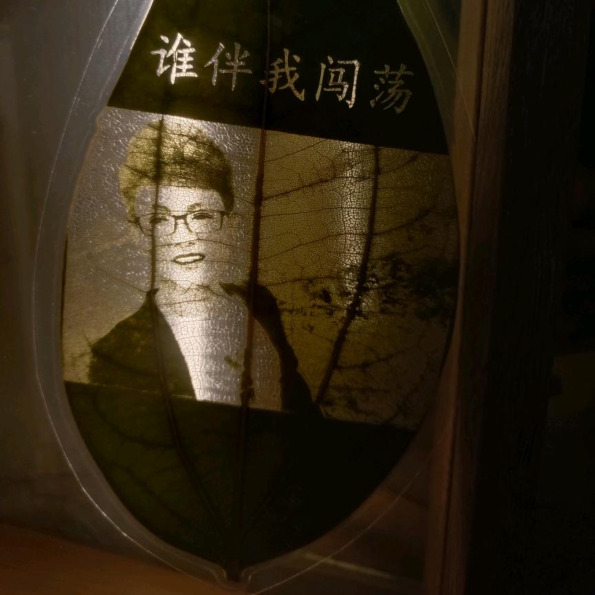 ໑ຼₒ₂✘ღ᭄ꦿ꯭谁伴我闯荡꧔