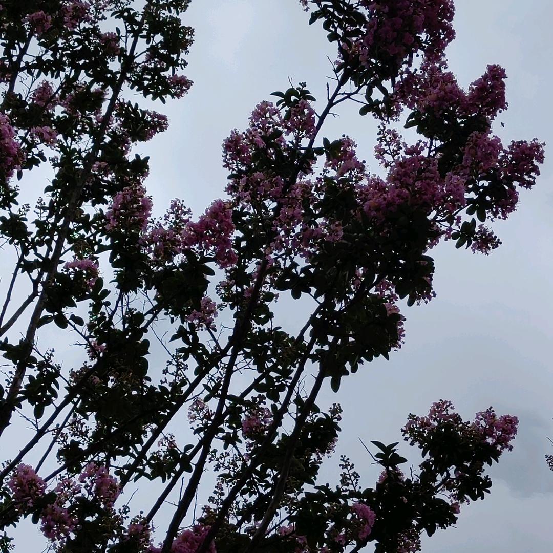 单亲妈妈👩‍👦