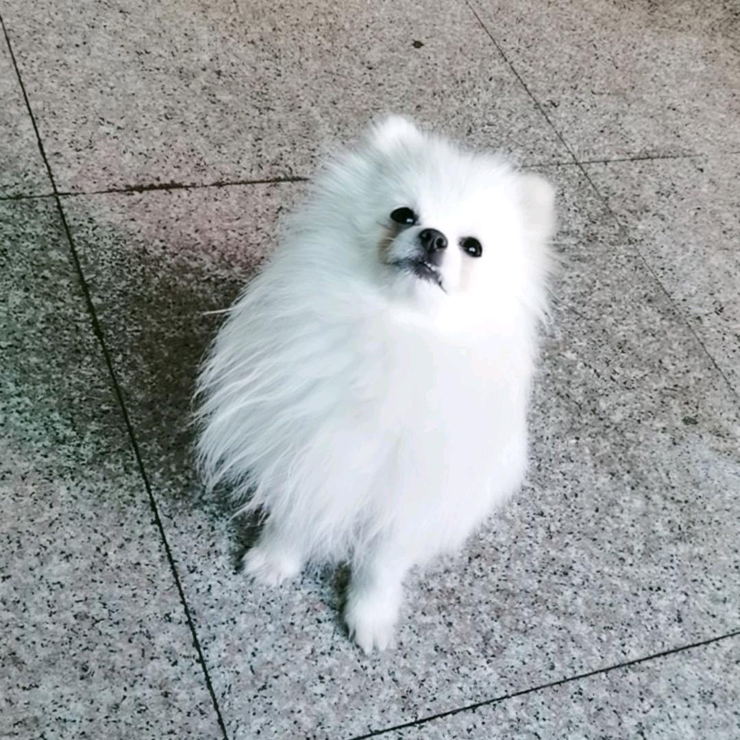 琳  @@🌹🌹🌹