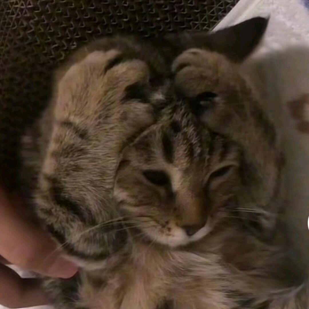 ℒฺℴฺνℯ̶ฺ归̶零̶⋆
