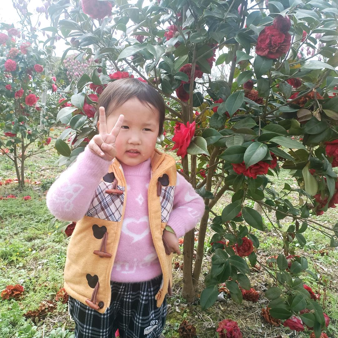 顺其自然\