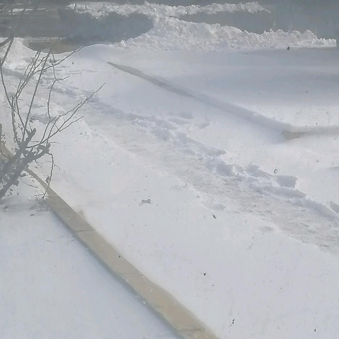 海的故乡