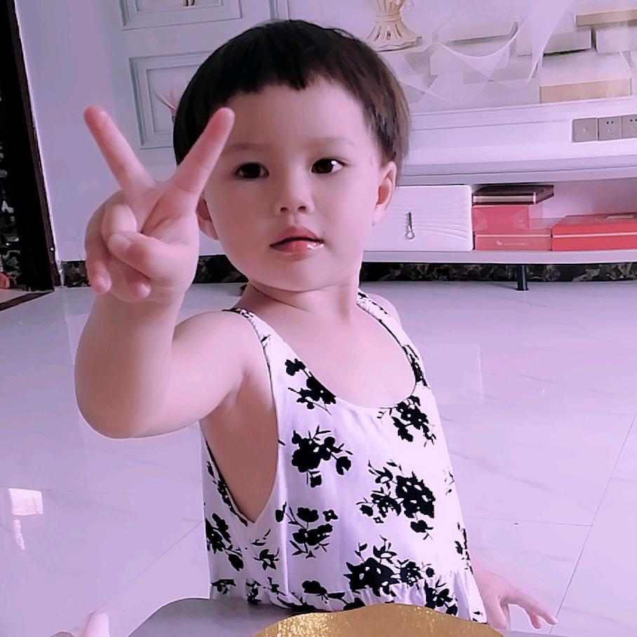璐璐虎宝