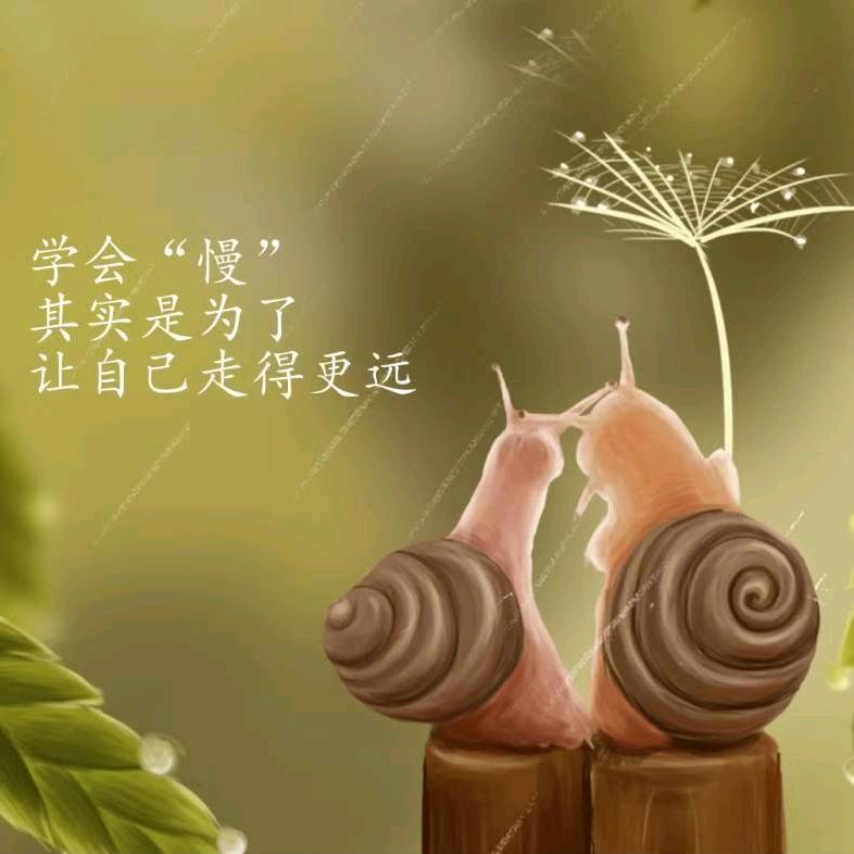 心理咨询李