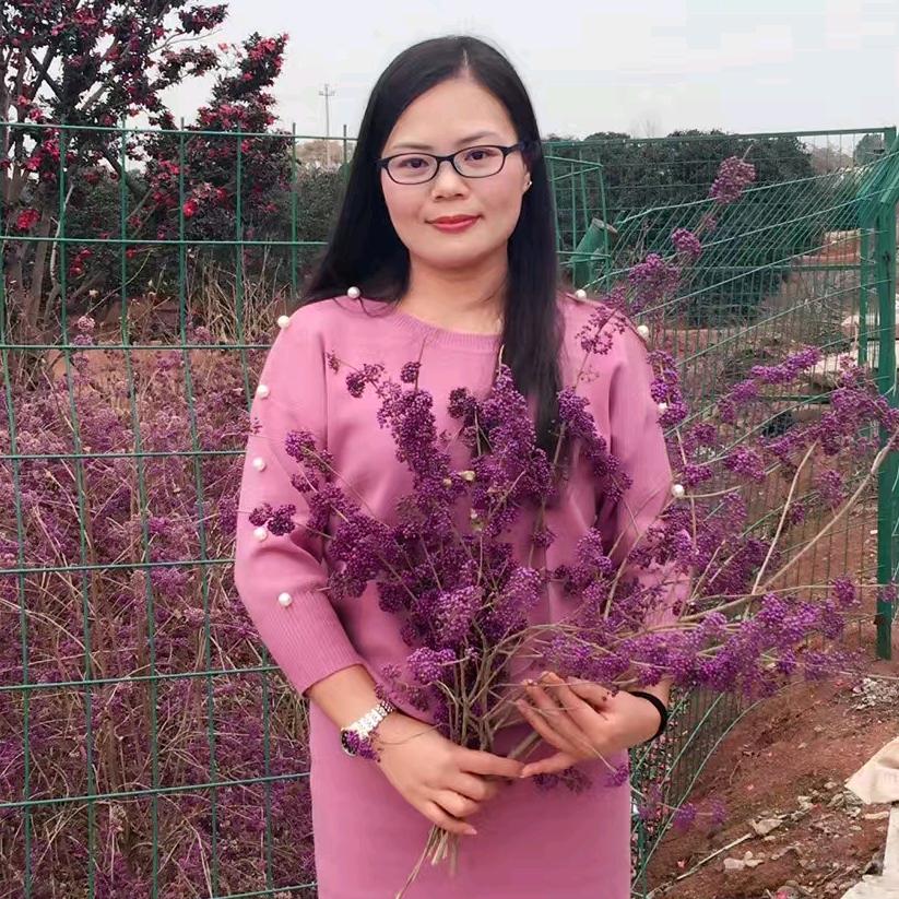 小美爱书法