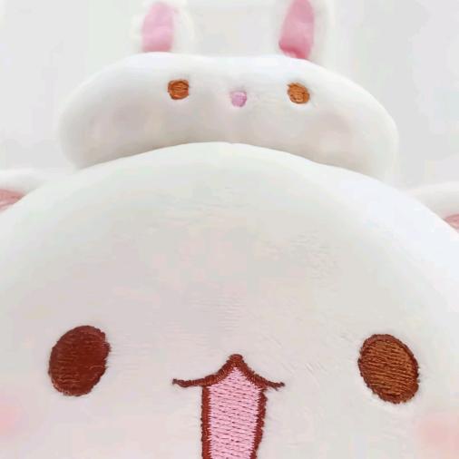 小愚猫
