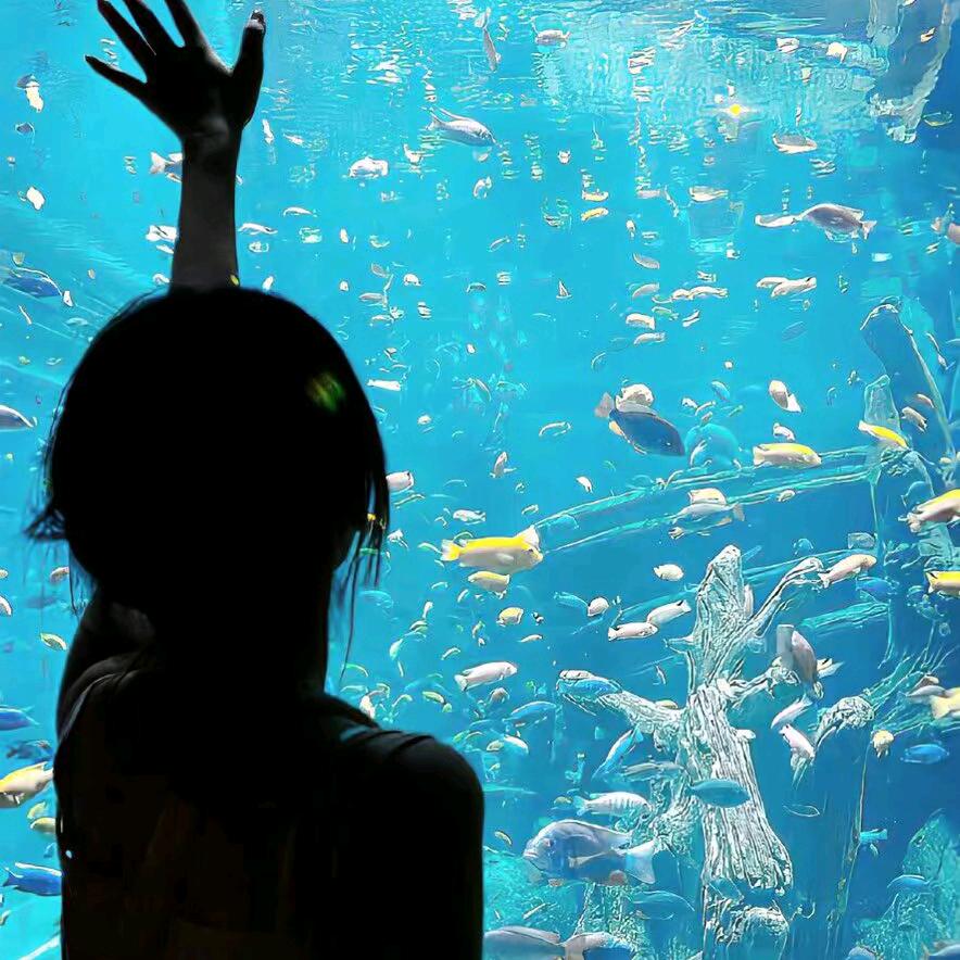 *馨